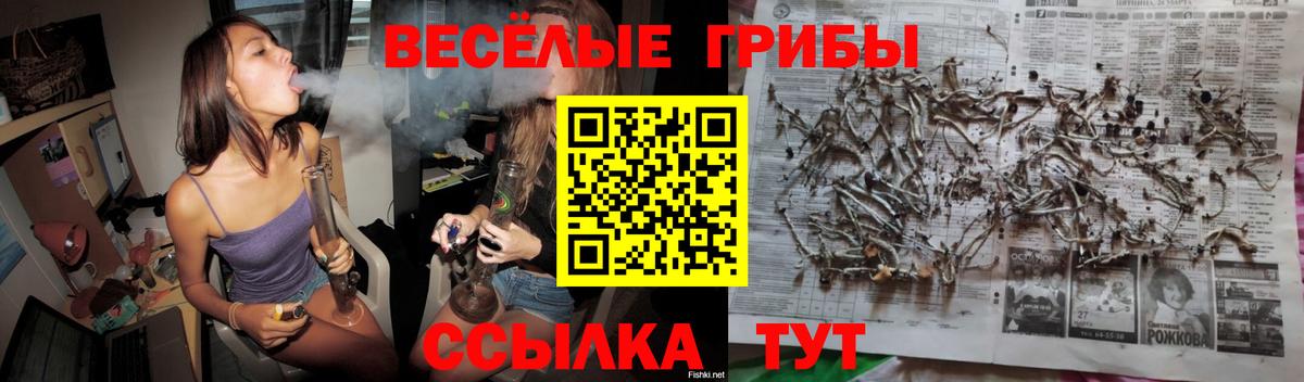 Уварово  Псилоцибиновые грибы Cubensis  Вход с VPN 
